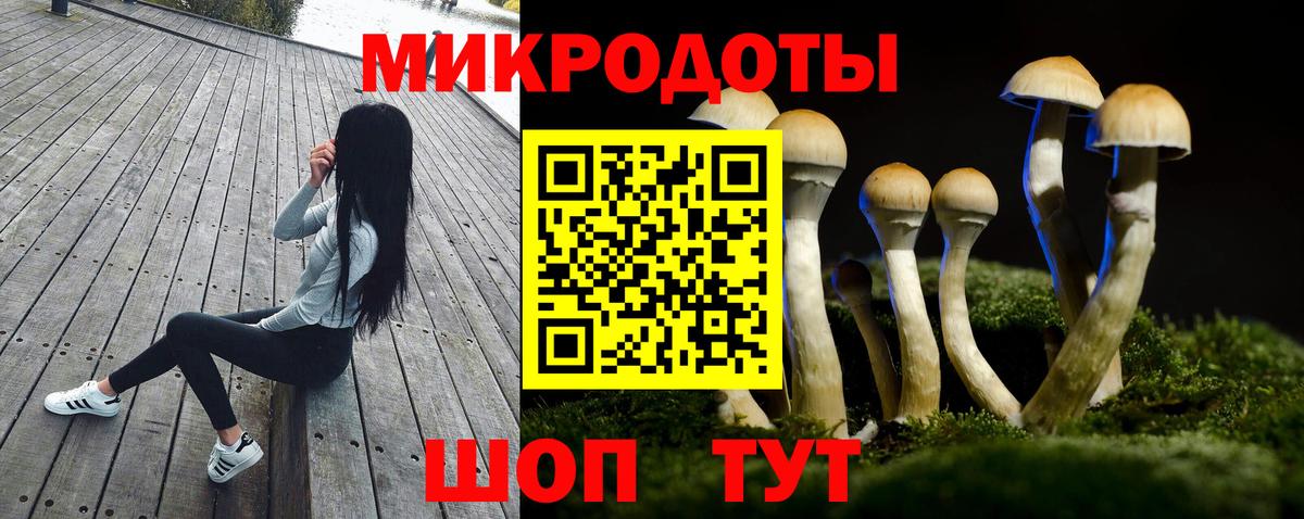 Галлюциногенные грибы мухоморы Северобайкальск