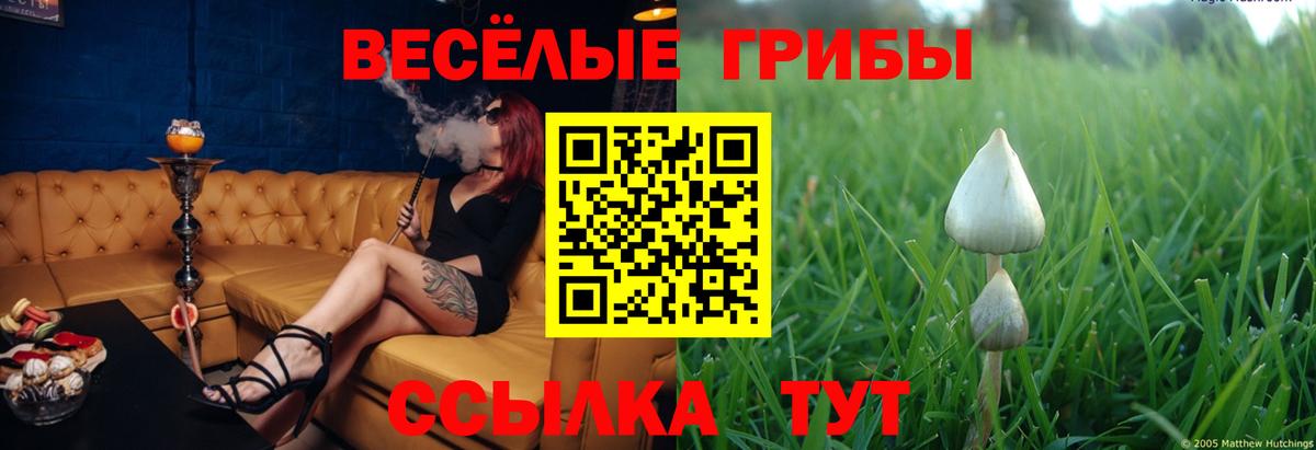 где купить наркотик  Галлюциногенные грибы мицелий  Северобайкальск  Вход с VPN  Псилоцибиновые грибы GOLDEN TEACHER 